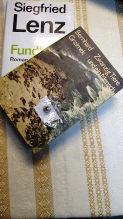 IMG 20211004 164036 1 13