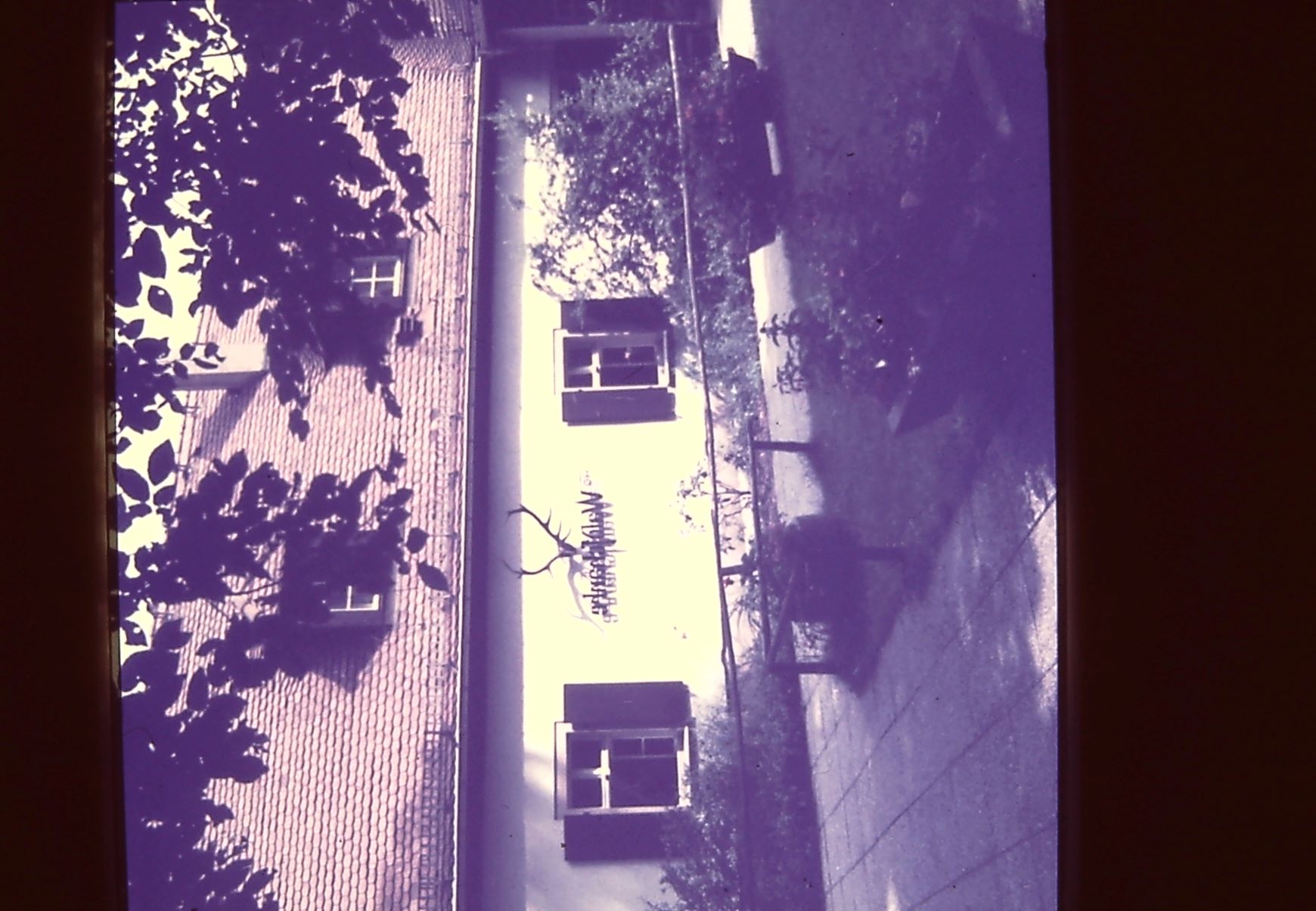 PICT0058